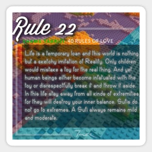 40 RULES OF LOVE - 22 Magnet